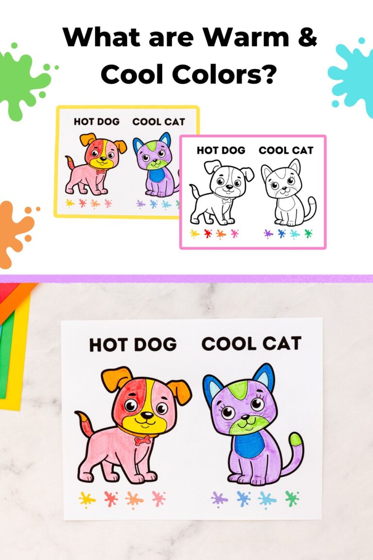 What are Warm & Cool Colors?